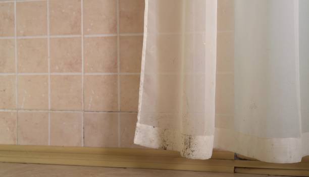 Best Flood Damage  in Scottsdale, AZ