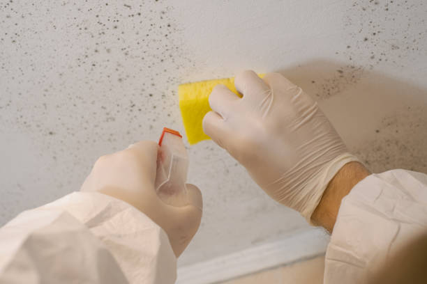 Best Indoor Air Quality Assessment  in Scottsdale, AZ