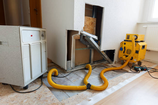 Best Industrial Mold Remediation  in Scottsdale, AZ