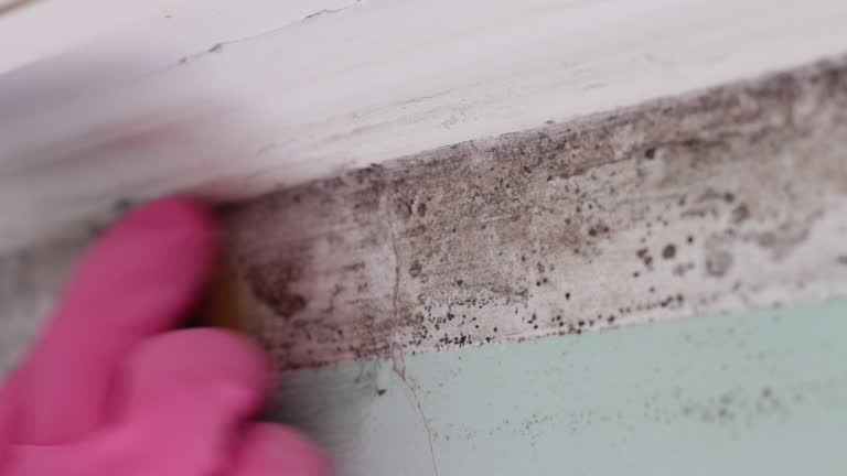 Best Dehumidification Services  in Scottsdale, AZ